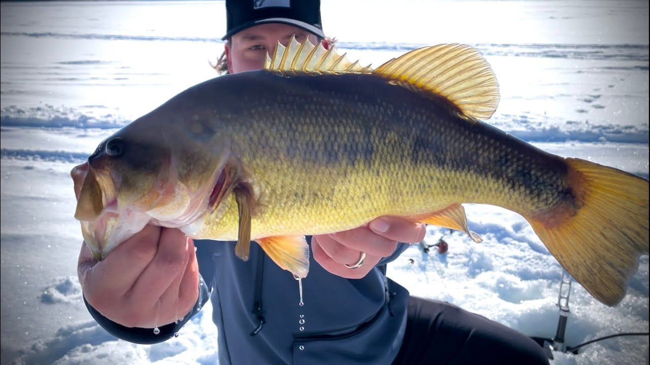 Bass Fishing!