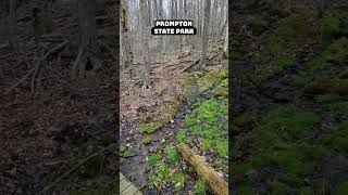 #hiking #pennsylvania #spring #adventure #nature #outdoors #water #snow