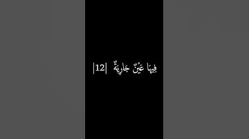 سورة الغاشية الاية 8-16 | ياسر الدوسري