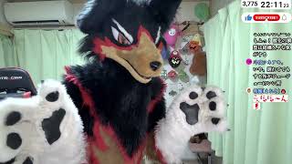 【fursuit/獣化#111】水曜のもふもふタイム🐾【ジュージュー/JuuJuu】#fursuit #獣化 #live