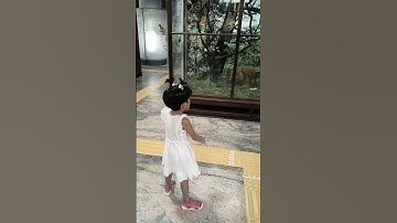 Thumbnail of #music #love #bollywood #song #lifeisbutadream  m...c.. Jebisha