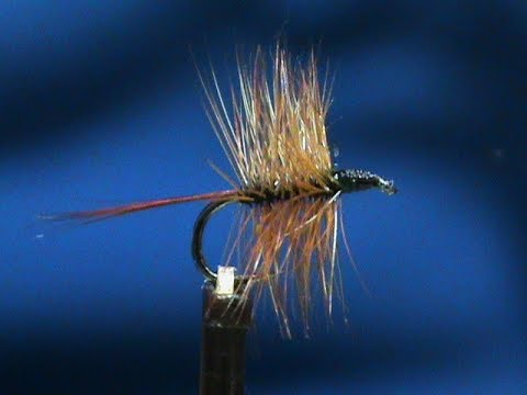 Beginner Fly Tying a Dry Spider with Jim Misiura - YouTube