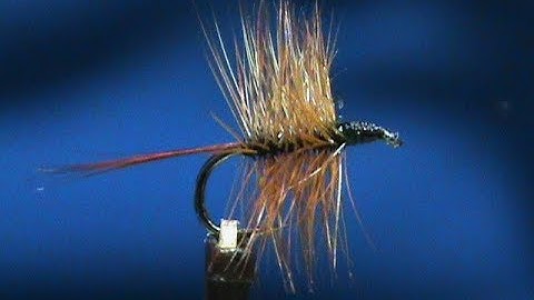 Beginner Fly Tying a Dry Spider with Jim Misiura