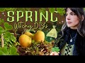 🌱 Witchy Spring DIY's | A Forest Witch🧚🏻‍♂️🌿