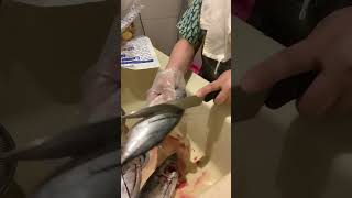 Satisfying  prepared tuna ? fish?trending viral youtubeshorts asmr shortvideo short shorts