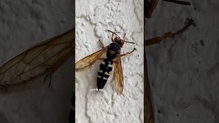 The Club Was Electric