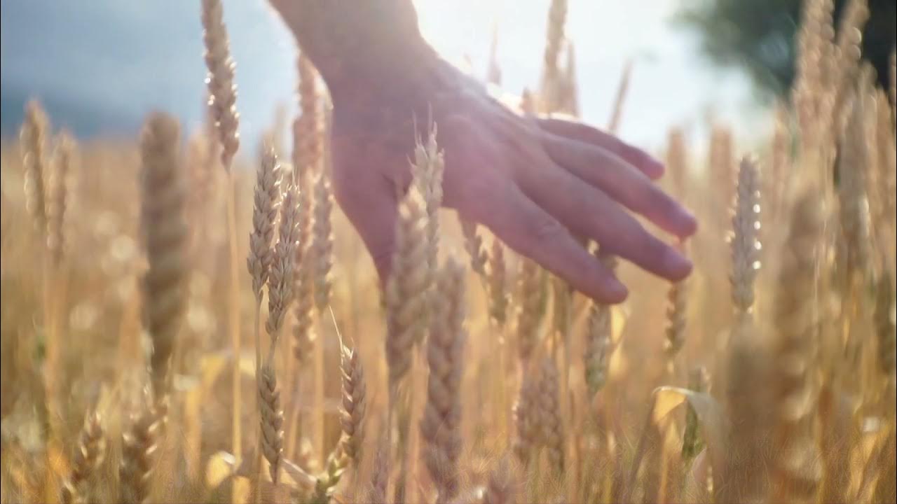 Быть против родины фейс