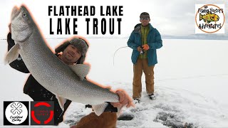 Flathead Lake Montana Ice Fishing Lake Trout