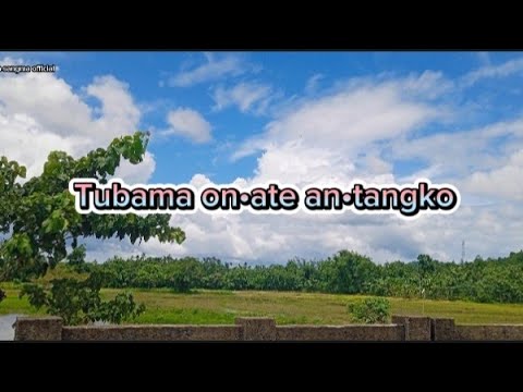 Tubama onate antangkocover Garo Gospel worship song Official songs music Weltiush sangma 
