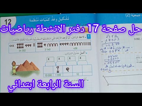 حل صفحة 17 دفتر الانشطة رياضيات للسنة الرابعة ابتدائي تشكيل وعد كميات منظمة 