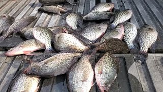 Spring Crappie Fishing 2026!!!