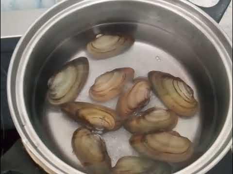 Сколько варить речную мидию до мягкости. Мидии в рассоле. Биссус у мидии. Речные мидии приготовленные. Как варить речные мидии.