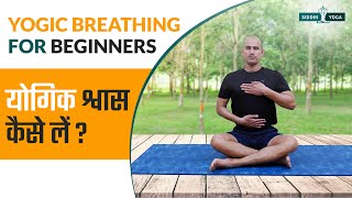 Yogic Breathing For Beginners in Hindi योगिक श्वास कैसे लें  | Siddhi Yoga Hindi