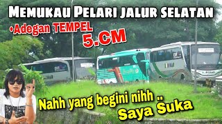 JALUR PANAS !! Lebih menantang dari Mr gaplek, Aksi bus tempel 5 cm gapuraning rahayu vs bus budiman