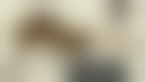 How to "TUNE" the Umarex Gauntlet for Accuracy/Pellets