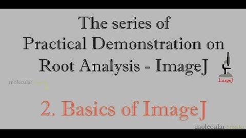 Practical Demonstration on Root Analysis - ImageJ - 2. Basics of ImageJ