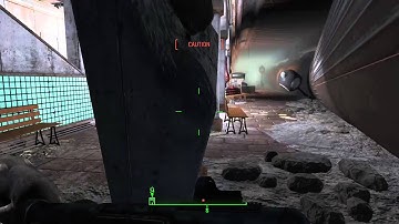 Super Mutant Suicide Bomber