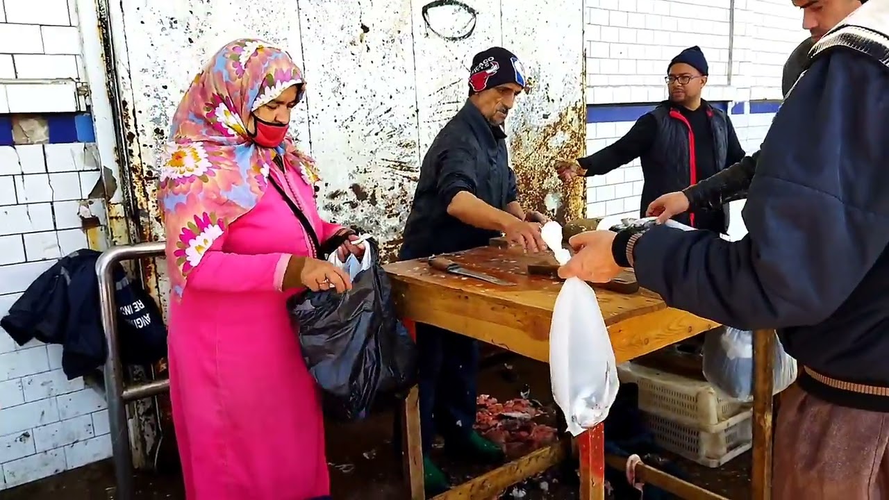 جولة في ميناء الدار البيضاء مع التعرف على بعض انواع الاسماك