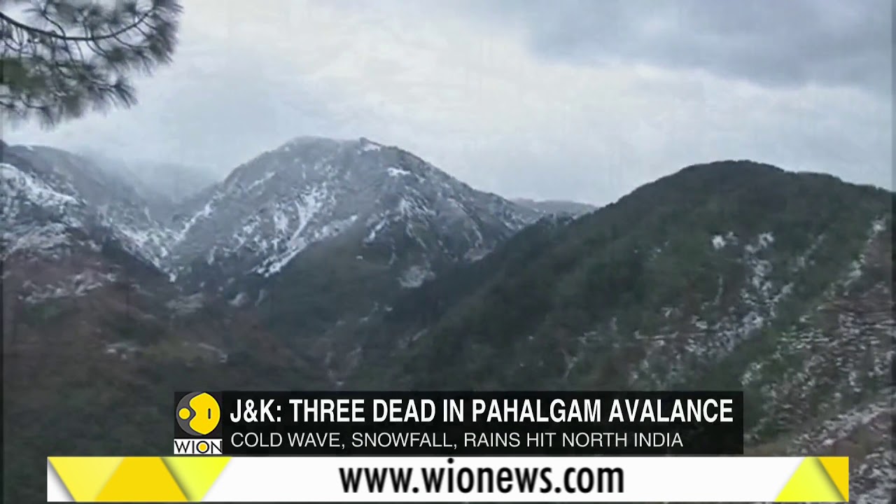 Cold wave in North India: Himachal Pradesh receives fresh snowfall, temperature likely to drop