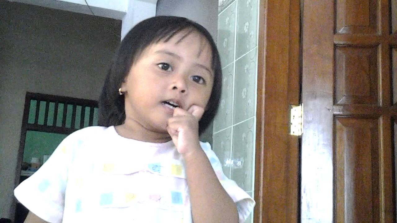 Nay - anak bebek 