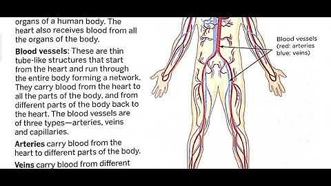 Class 4th Subject Science Ch -5, part -2 by Anuj Yadav Sir (6 8 20)
