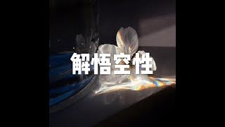 201712 解悟空性22778