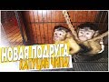 Алекса знакомится с новым другом капуцином Чипой!