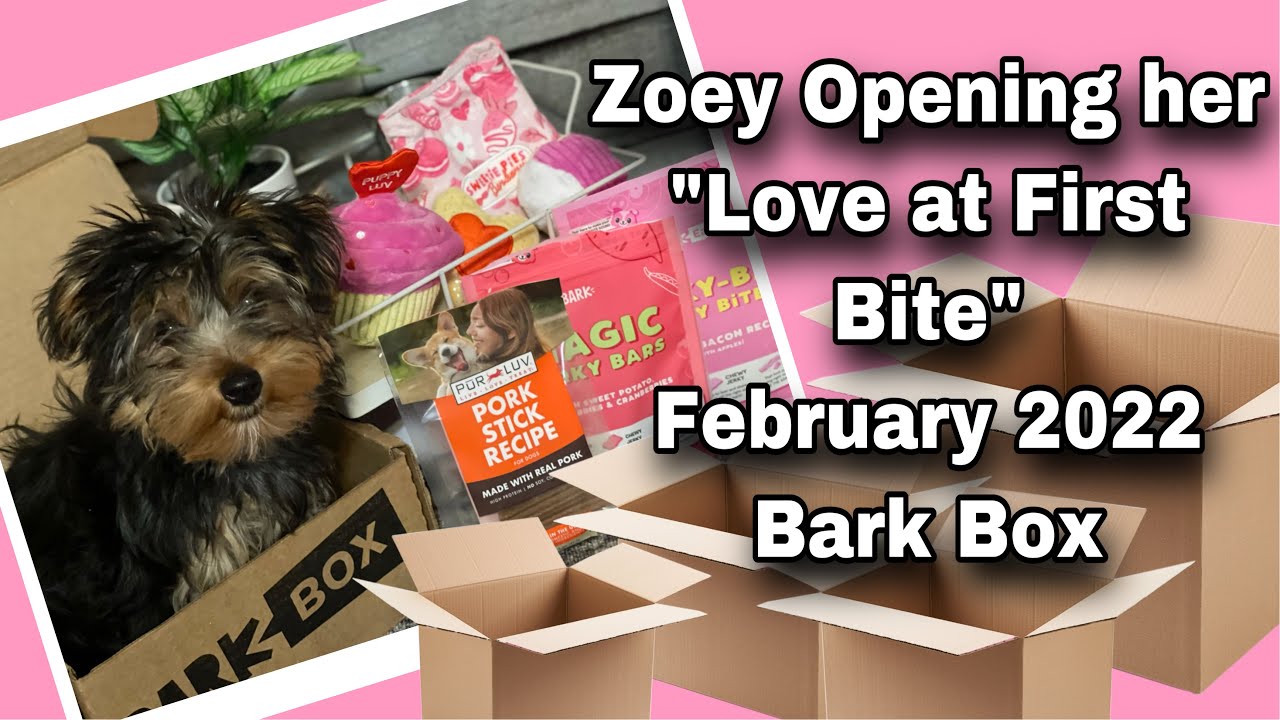 February Barkbox February’s Bark Box 2022 - YouTube