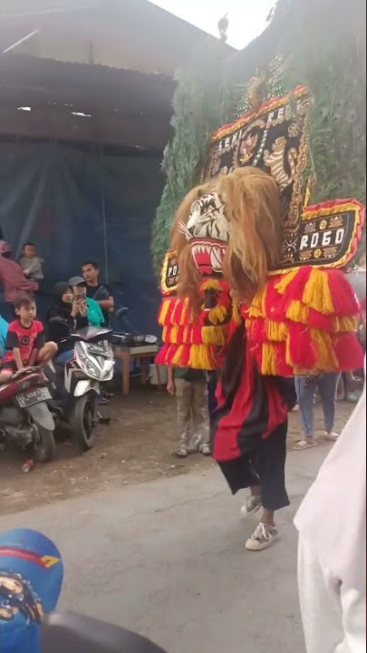 Reog Ponorogo acara karnaval Agustus kemarin #reog #reogponorogo #reogviral #karnaval #agustusan