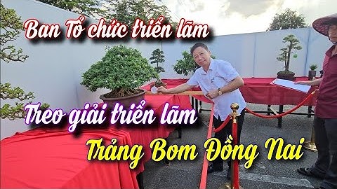 Treo giải tác phẩm bonsai xuất sắc tại Triển lãm Sinh Vật Cảnh Trảng Bom 2025