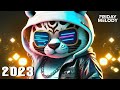 Dj dance remix 2023  mashups  remixes of popular songs 2023  dj remix party club music mix 2023