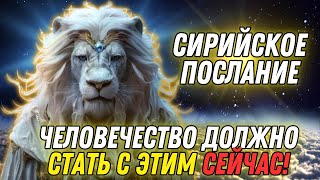 ФИНАЛЬНАЯ БИТВА...