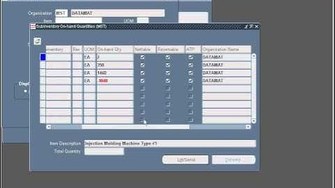 On-Hand Availability.wmv