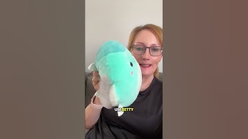 Squishmallows collectors! Do you leave tags on or off?