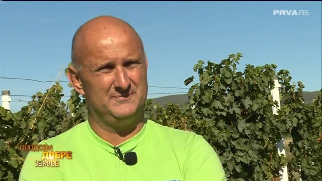 SSŠ Borislav Mihajlović Mihiz  - Prilog Tv Prva