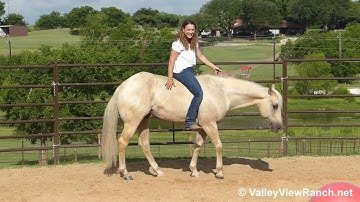 Doc Jac(Dollar) - riding bareback and bridleless! - ValleyViewRanch.net