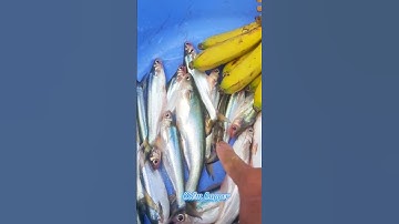 #Shorts / Câu cá xác sọc cá dứa mồi chuối già cui miền tây sông nước #KiềmRapper