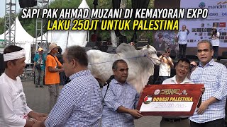 KDM LIHAT SAPI RAKSASA DI KEMAYORAN EXPO | SAPI PAK AHMAD MUZANI LAKU 250JT UNTUK PALESTINA