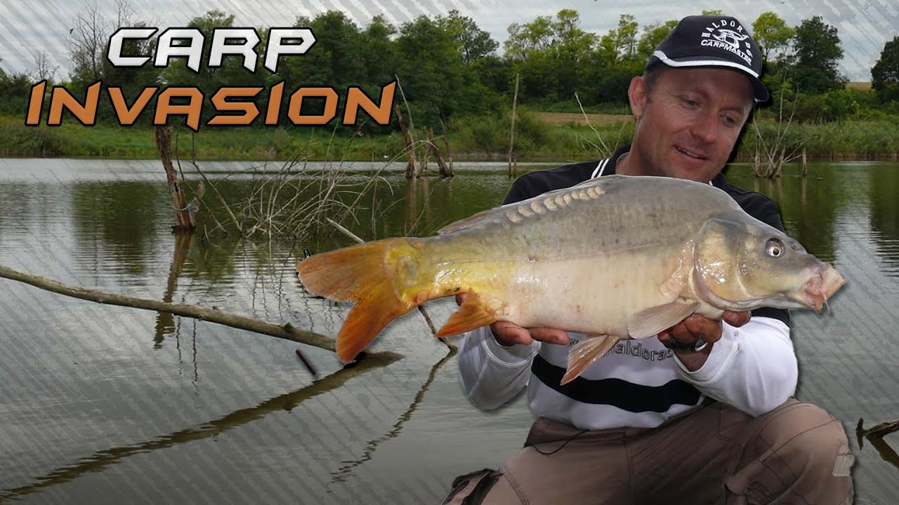 Döme Gábor - Pontyözön a Hársasberki-víztározón