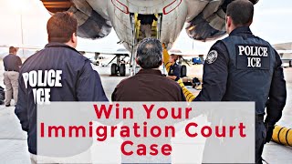 Immigration Court - How to Win Your Case