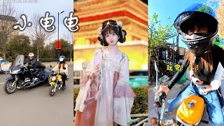 【合集】小电电是个善良的女骑士啊