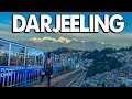 Exploring darjeeling a gem of west bengal  darjeeling 