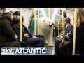 Polar Bear Let Loose In London - Fortitude