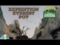 Expedition Everest at Animal Kingdom POV 2024