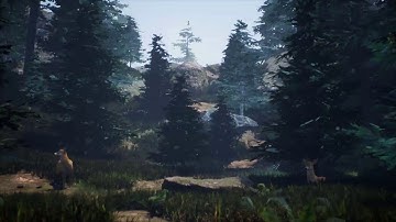 UE4 | Forest Path Scene