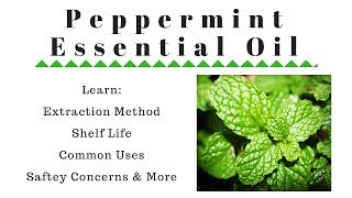 Peppermint Essential Oil