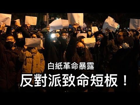 反习派幕后策划大动作！白纸革命揭示体制内外反对派短板（一平论政20231/8)