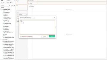 Creating a Calculated Field Using an IF THEN Function: Tableau Basics