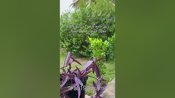 ترتيل خاشع الآية ٣٥ من سورة الرعد  للقارئ الشيخ د. محمد اللحيدان