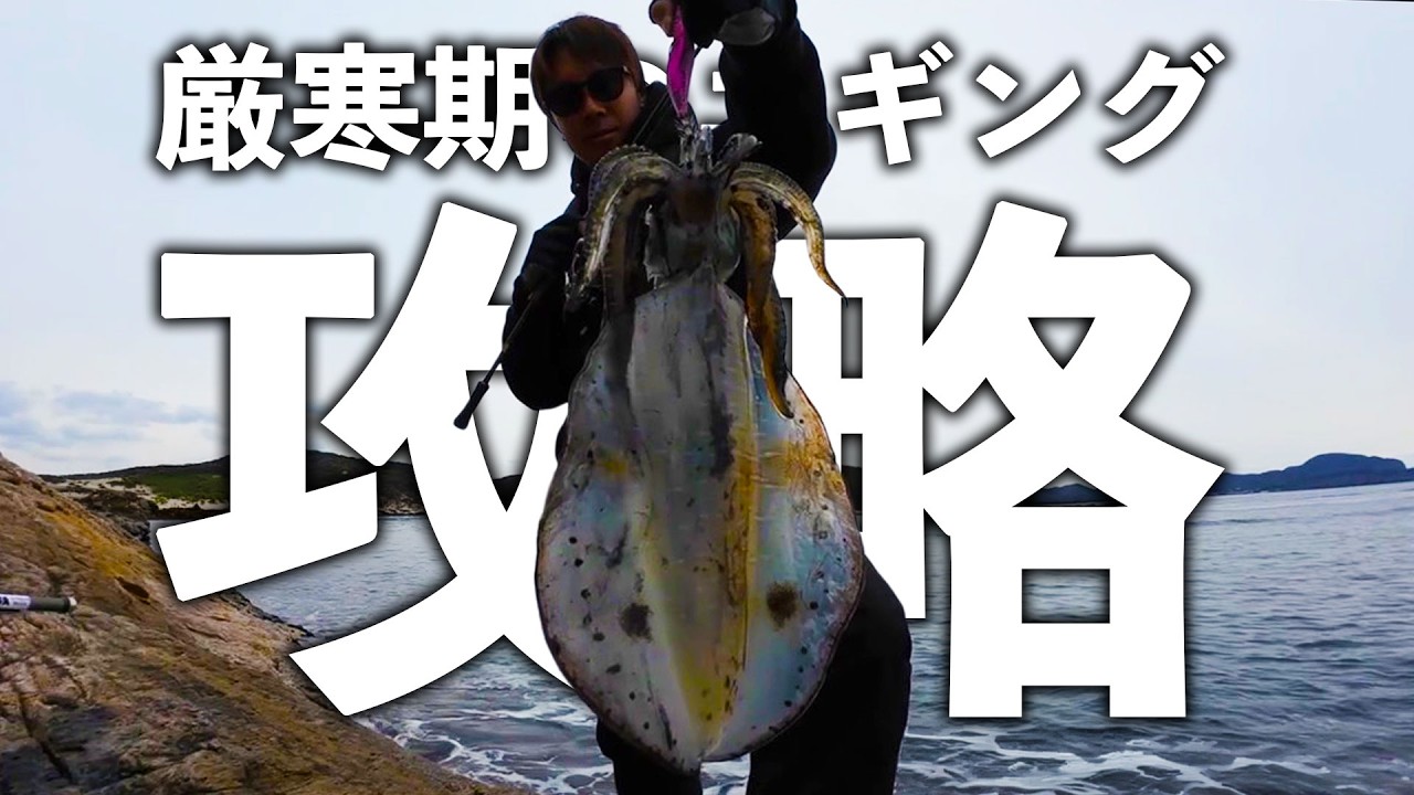 厳寒期のエギングで釣るために【エンバーメイズ】